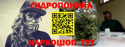 mix Кингисепп