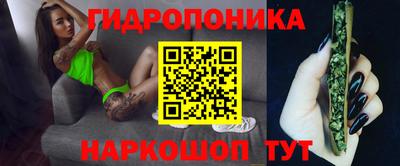 mix Кингисепп